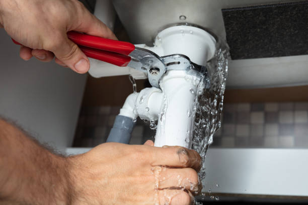Best Flood damage cleanup  in Alto, TX
