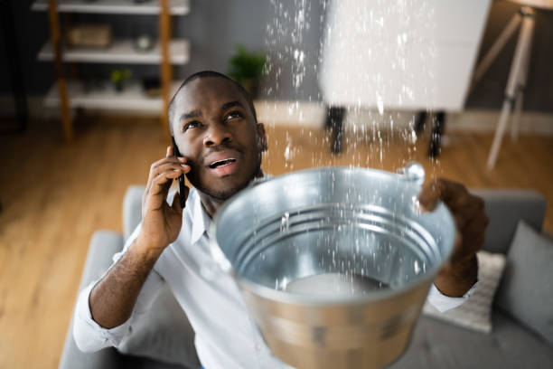 Best Flood restoration services  in Alto, TX