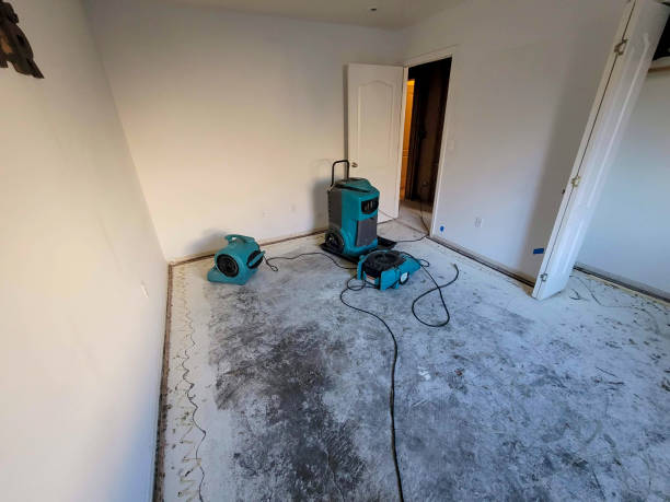 24/7 water damage repair in Alto, TX