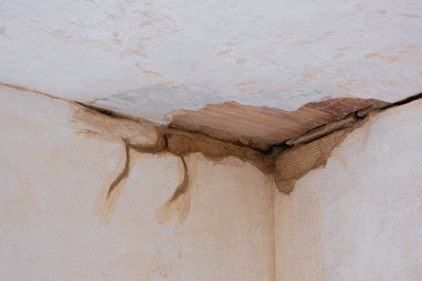 Best Water damage restoration near me  in Alto, TX