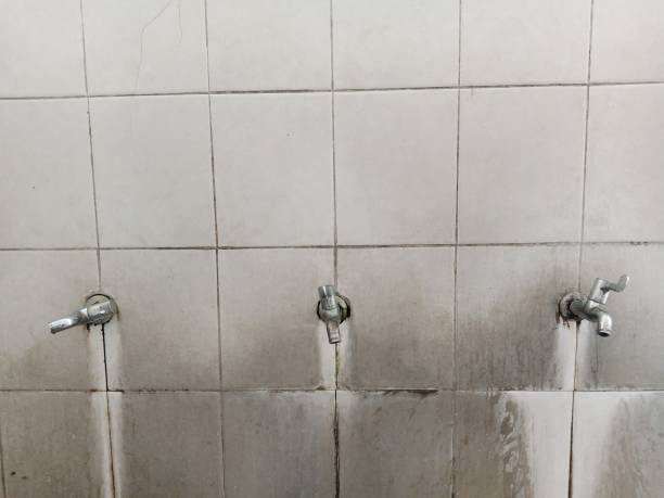 Best Flood damage cleanup  in Alto, TX