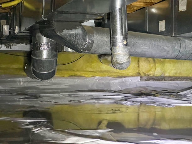 Best 24/7 water damage repair  in Alto, TX