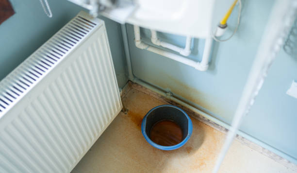 Best Sewage cleanup and water damage restoration  in Alto, TX