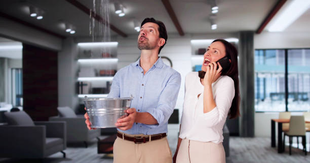 Best Local water damage restoration  in Alto, TX