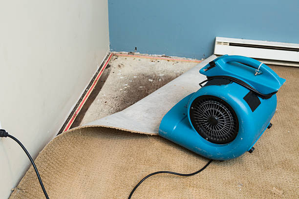 Best Water damage restoration near me  in Alto, TX